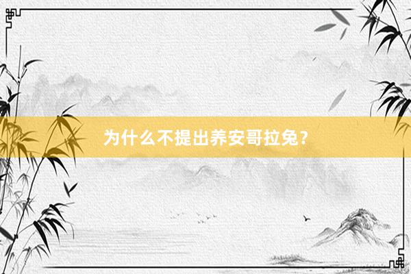 为什么不提出养安哥拉兔？