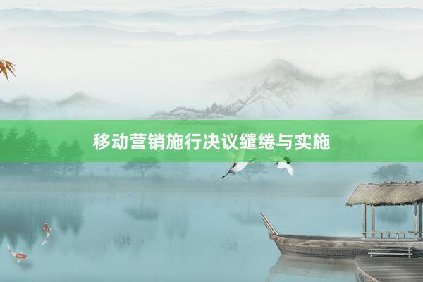 移动营销施行决议缱绻与实施